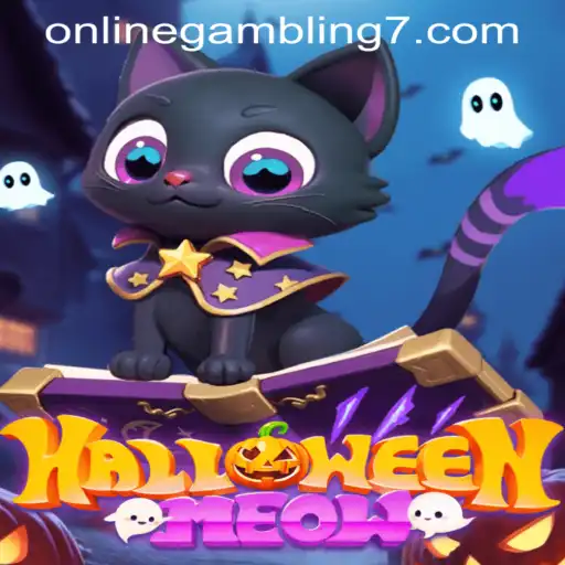Exploring the Thrills of HalloweenMeow: A New Online Gambling Game